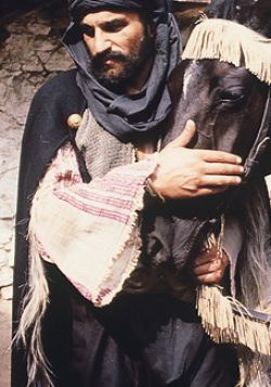 Strahinja  Banović
