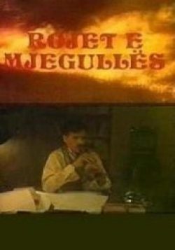 Čuvari magle
