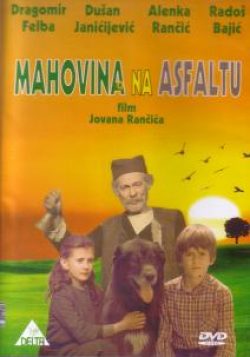 Mahovina na asfaltu