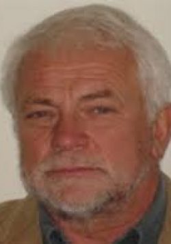 Velimir Domitrović