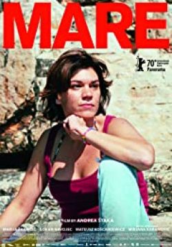 Mare