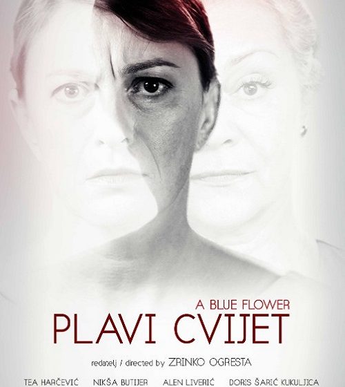  PLAVI CVIJET